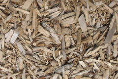 biomass boilers Mallwyd