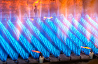 Mallwyd gas fired boilers